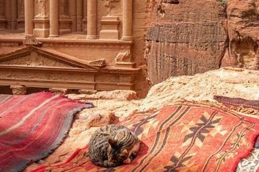 View of Amman cityscape on the first day of the Jordan 15 Days tour, showcasing ancient ruins and vibrant urban life.